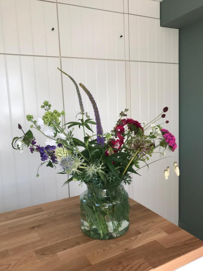 B&B Trefkerk Appelscha Eksteriør billede